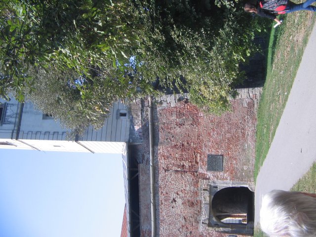 finnek 2011 046